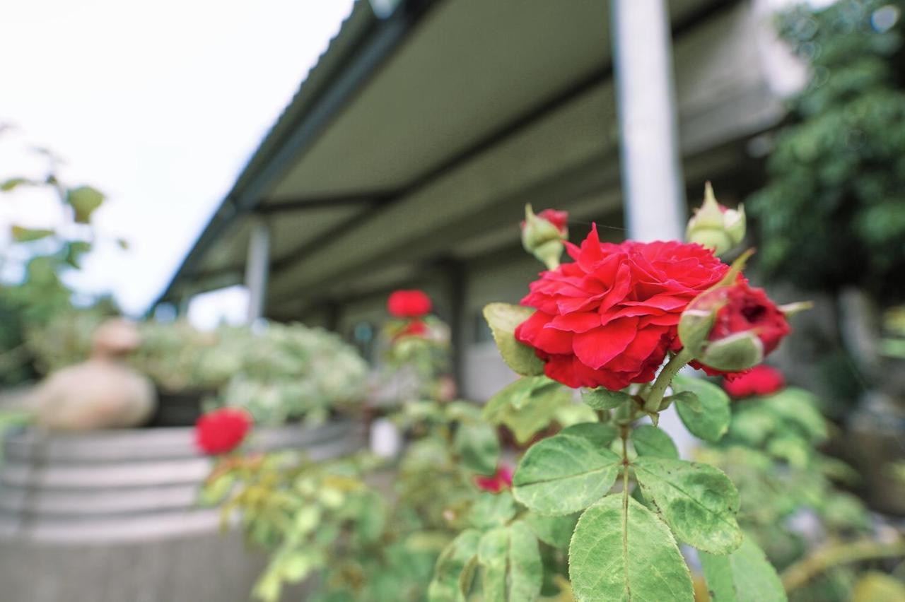 Taitung City-Cottage B&B Eksteriør billede